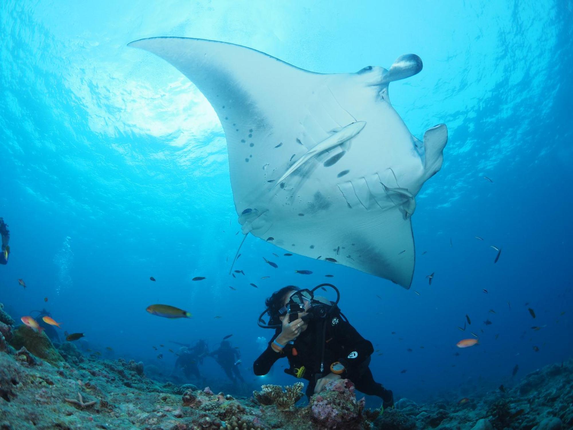 ホテル ユー&ミー モルディブ Muravandhoo エクステリア 写真